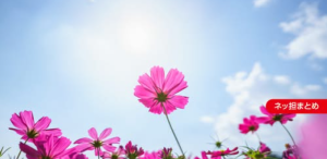 GoogleはWebの花を咲かせる太陽？ それとも破壊神？ 今、検索を取り巻く状況とは【ネッ担まとめ】