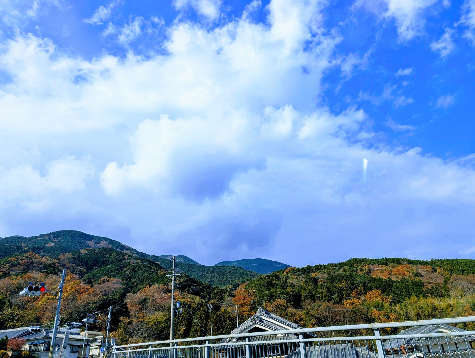 奈良県名産のいちご「古都華」をもっと知ってもらいたい。